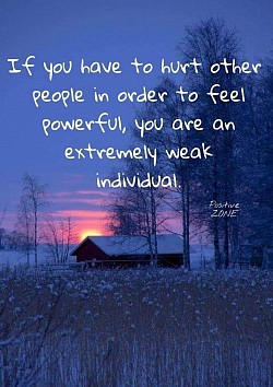 meme: If you have to hurt other people in order to feel powerful, you are an extremely weak individual.